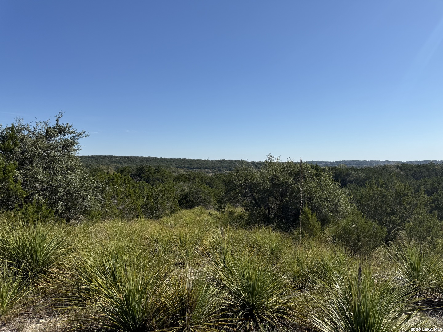 390 THOROUGHBRED LN, Spring Branch, TX 78070