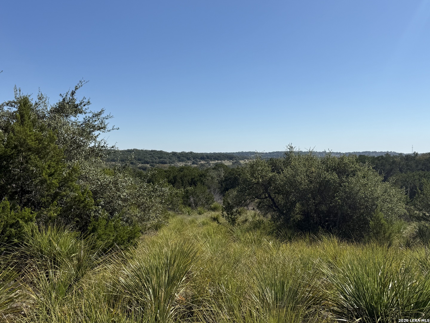 390 THOROUGHBRED LN, Spring Branch, TX 78070