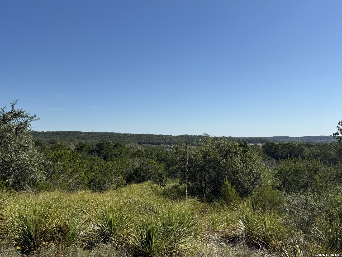 390 THOROUGHBRED LN, Spring Branch, TX 78070