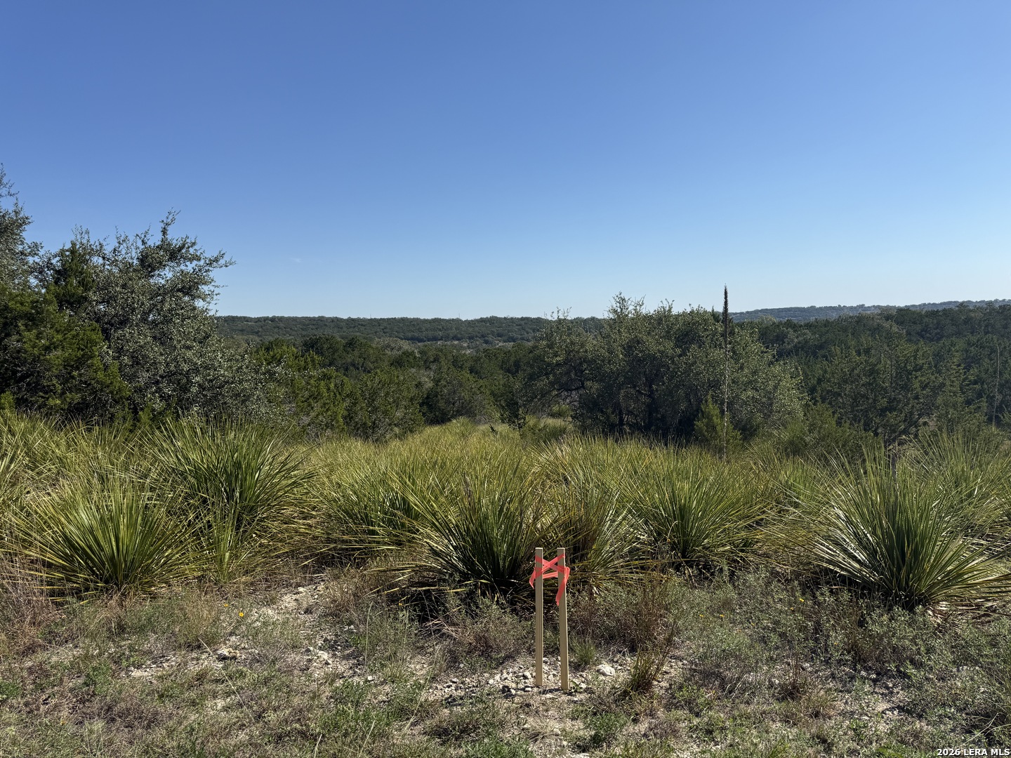 390 THOROUGHBRED LN, Spring Branch, TX 78070
