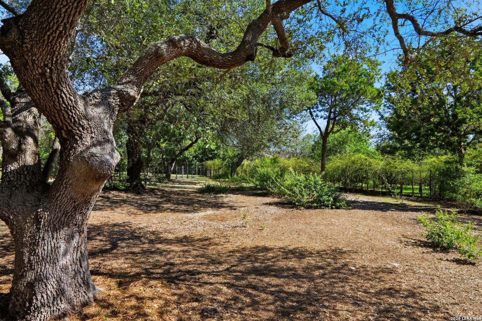144 BALCONES BND, Boerne, TX 78006