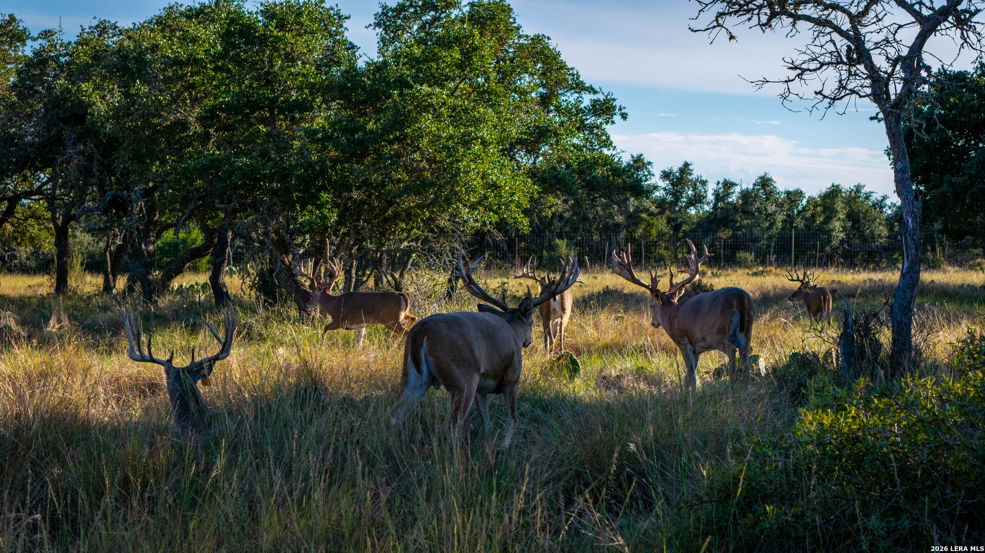23022 Highway 41, Mountain Home, TX 78058