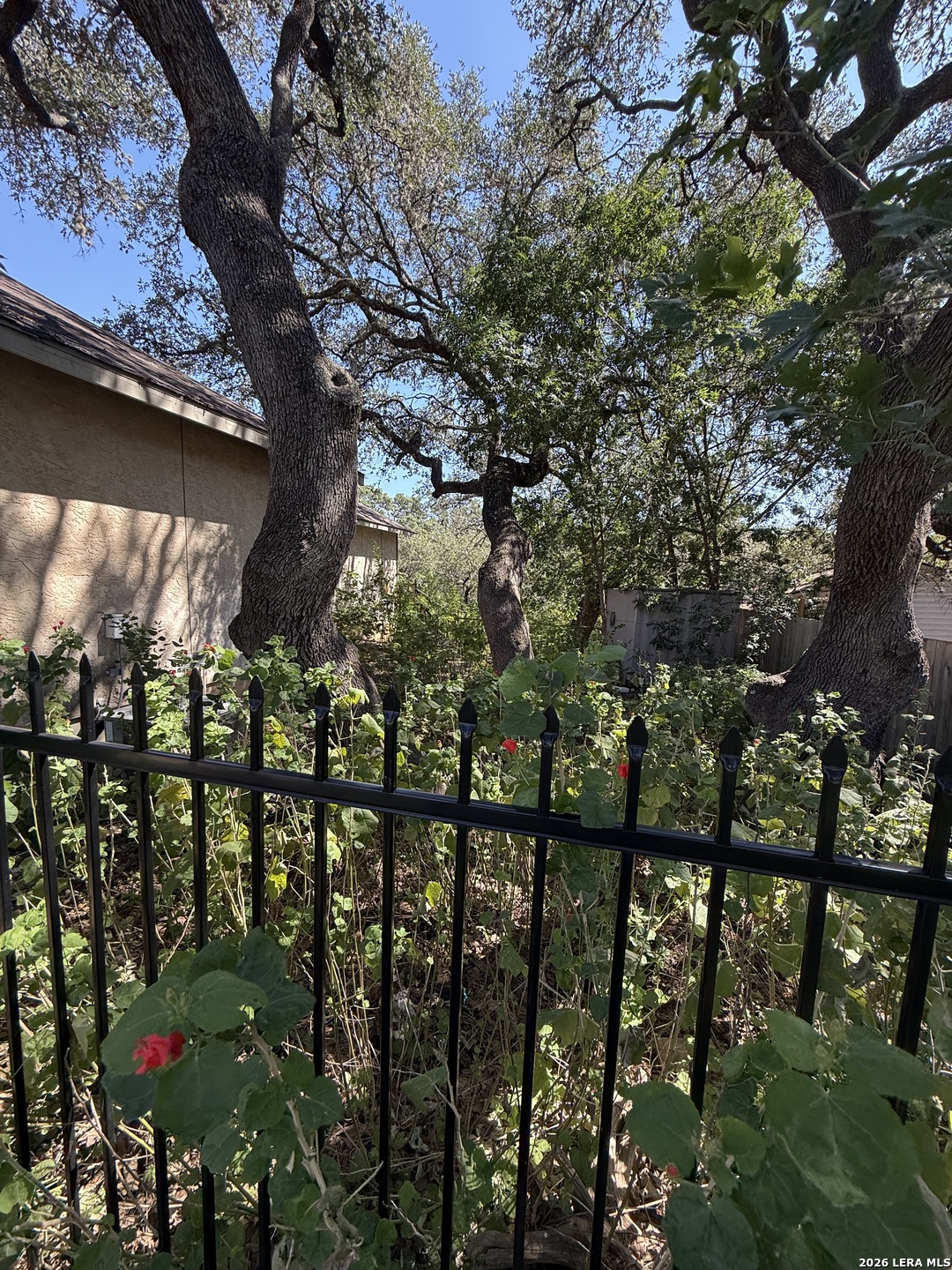 19942 PARK HOLW, San Antonio, TX 78259