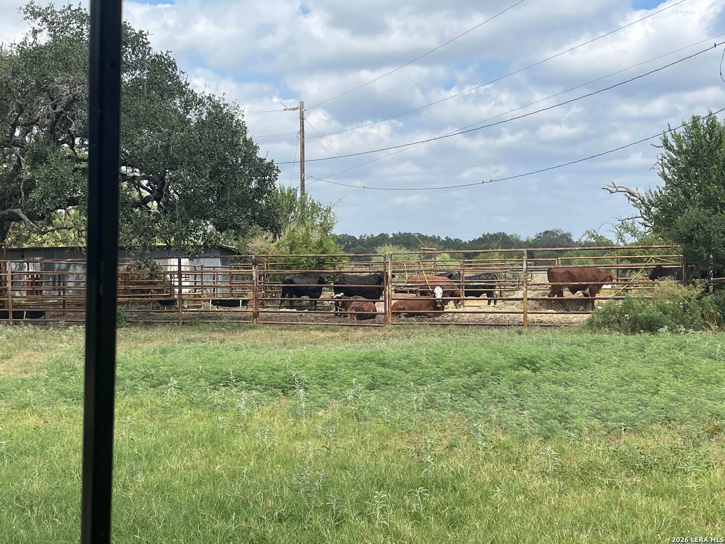 8331 County Road 311, Utopia, TX 78884