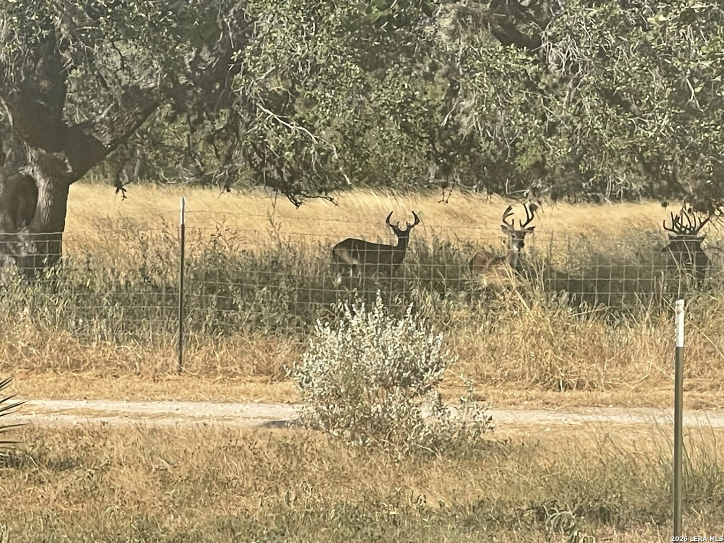 8331 County Road 311, Utopia, TX 78884