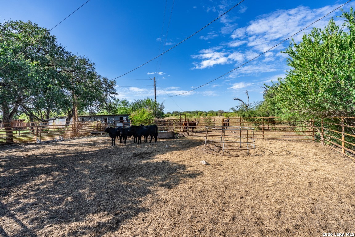 8331 County Road 311, Utopia, TX 78884