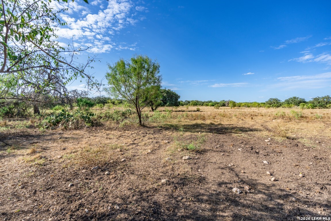 8331 County Road 311, Utopia, TX 78884