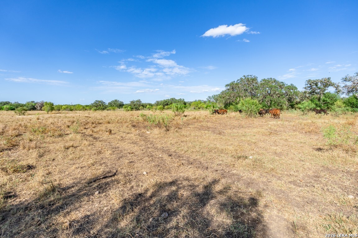 8331 County Road 311, Utopia, TX 78884