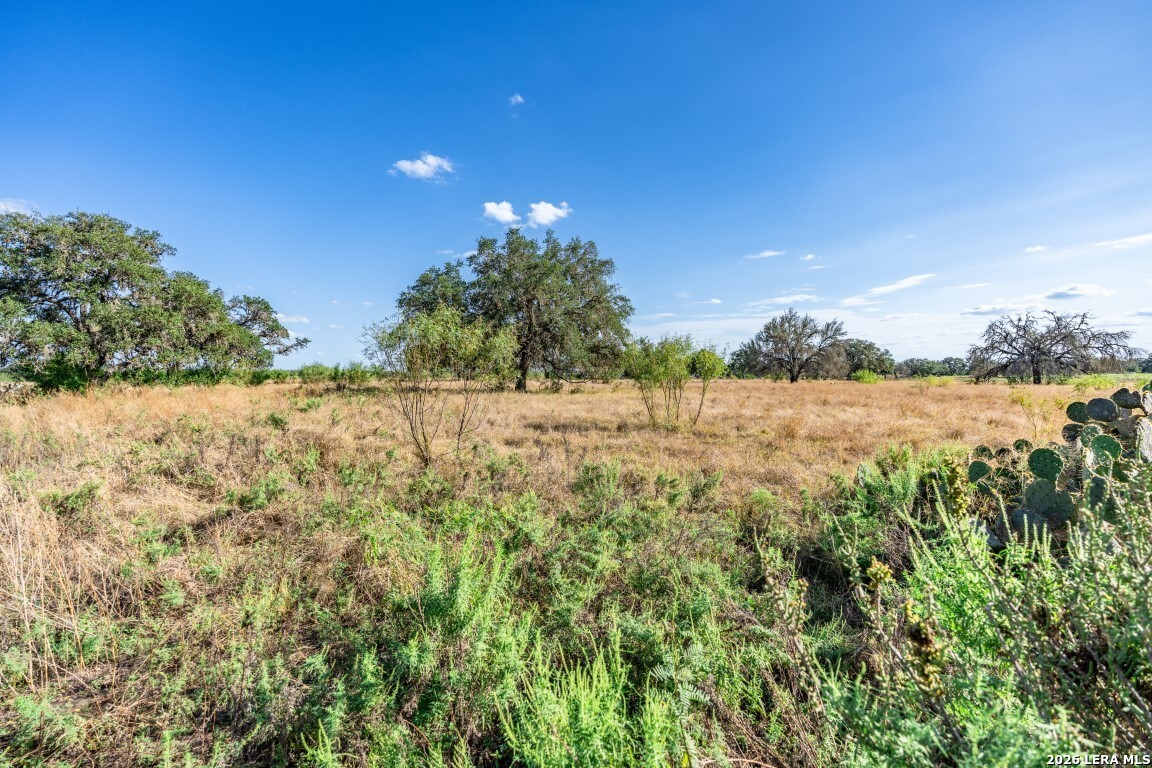 8331 County Road 311, Utopia, TX 78884