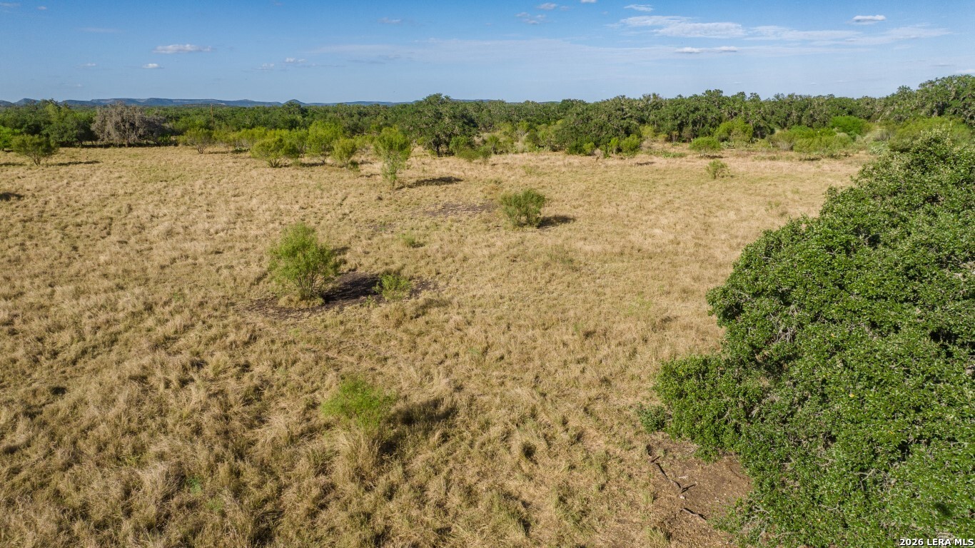 8331 County Road 311, Utopia, TX 78884
