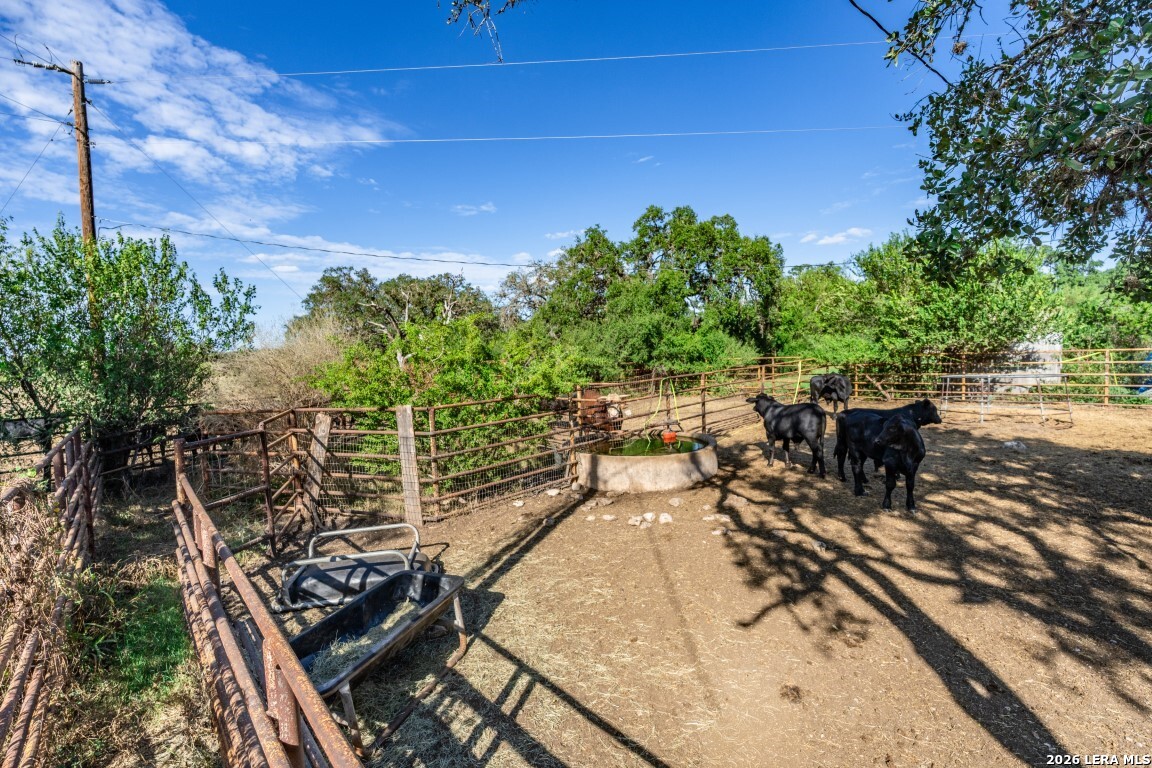 8331 County Road 311, Utopia, TX 78884
