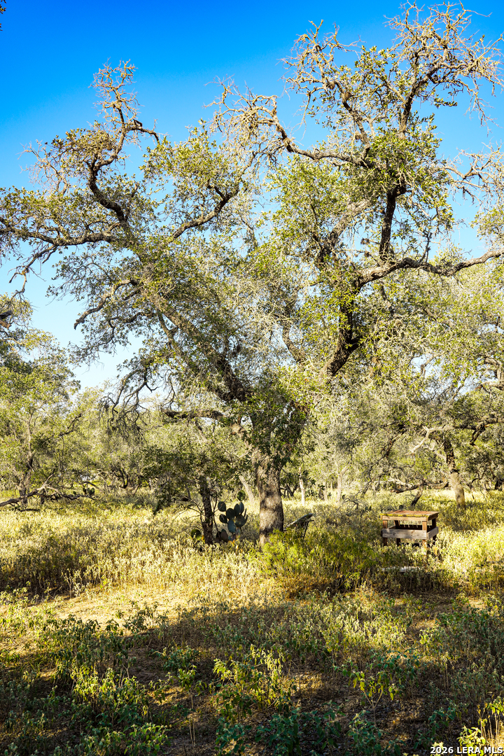 000 County Road 777, Devine, TX 78016