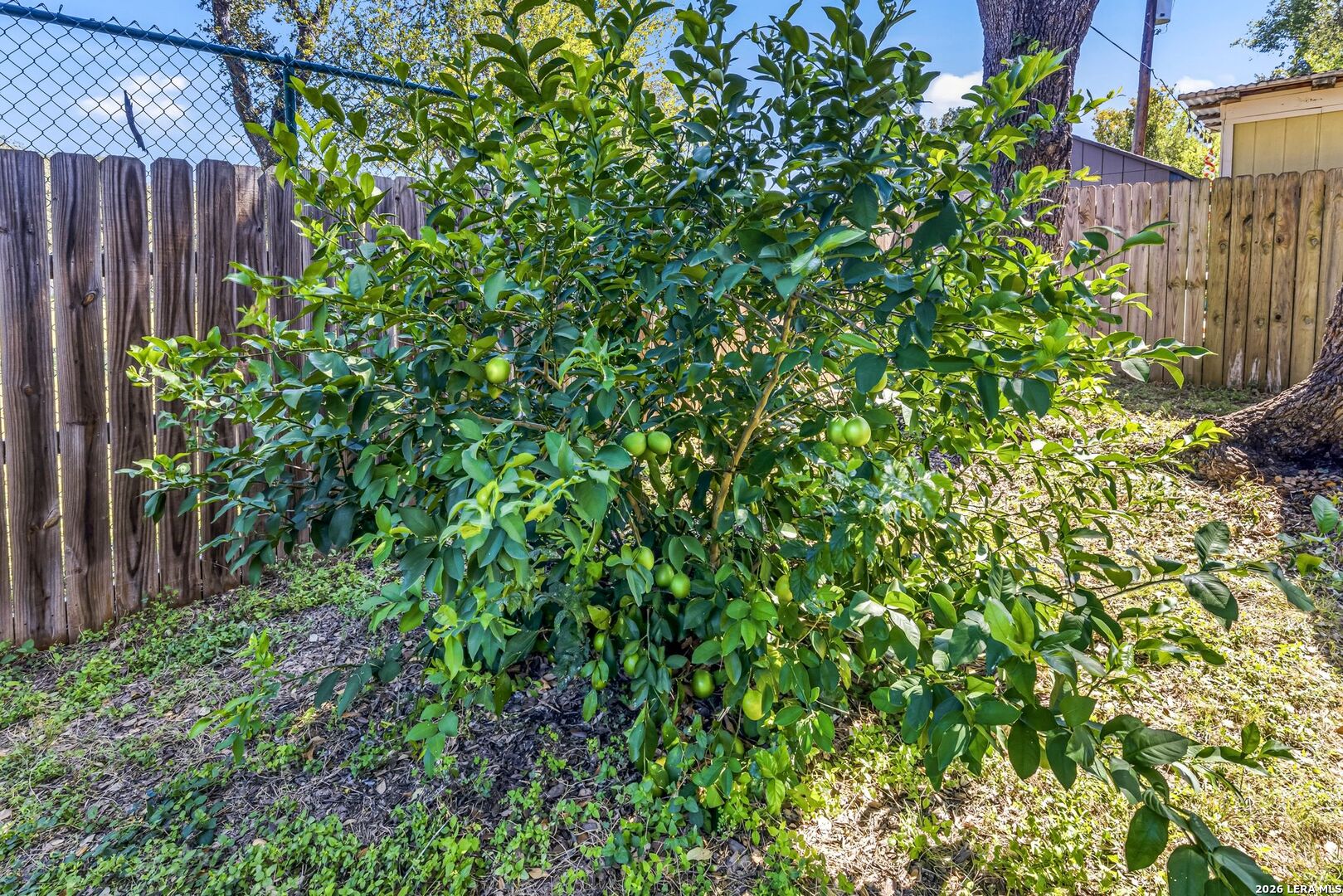 2326 Fox Meadow Drive, San Antonio, TX 78251