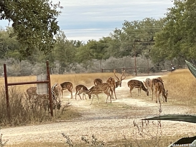 8331 County Road 311, Utopia, TX 78884