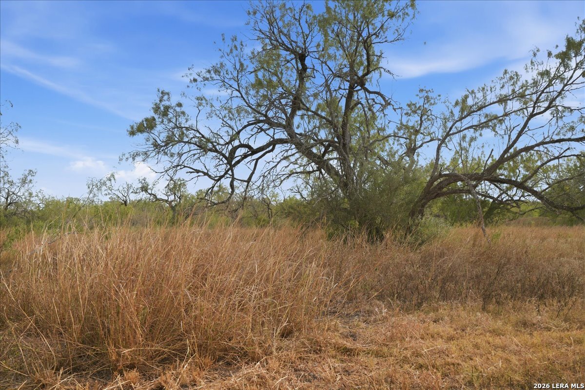 1991 S HIGHWAY 37 ACCESS, Three Rivers, TX 78071