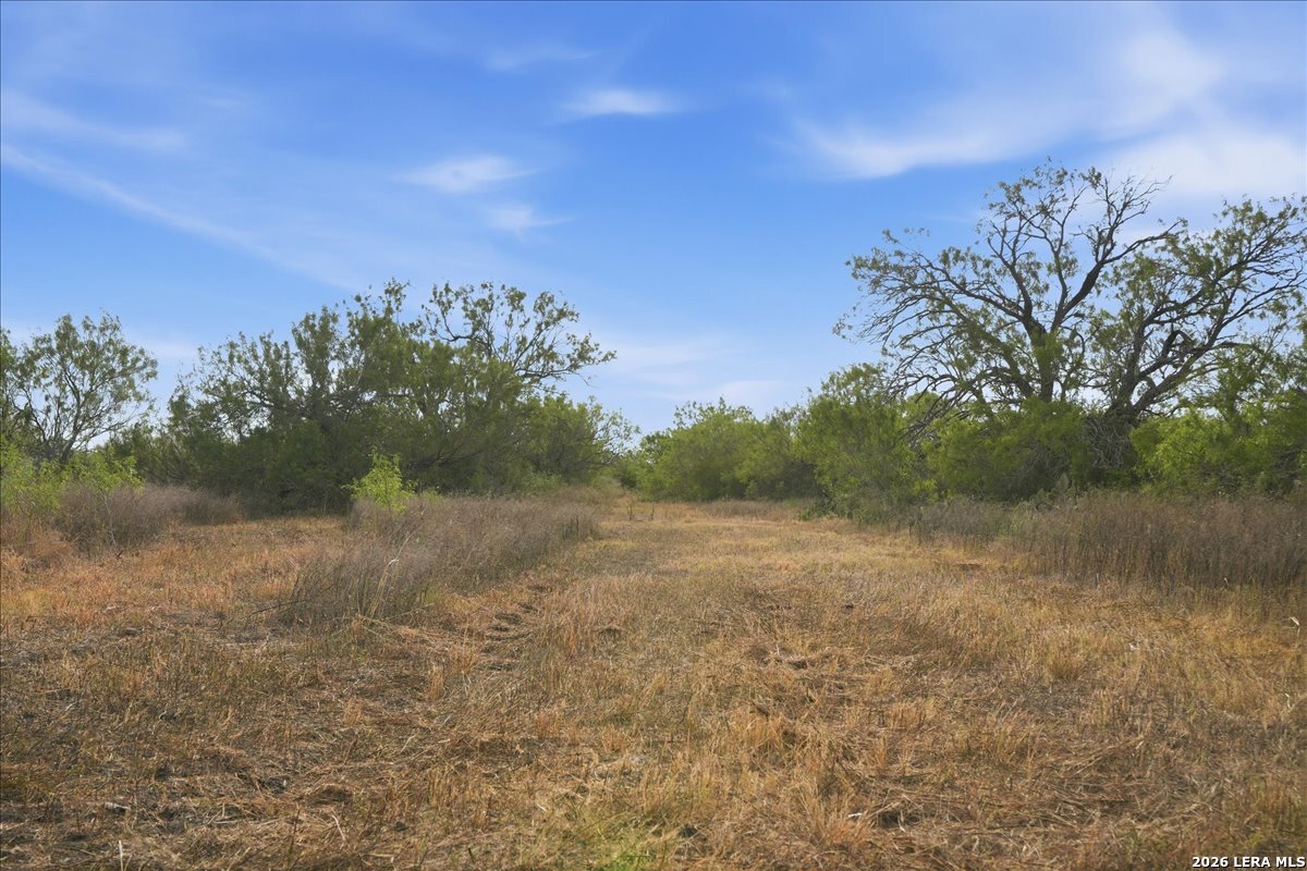 1991 S HIGHWAY 37 ACCESS, Three Rivers, TX 78071