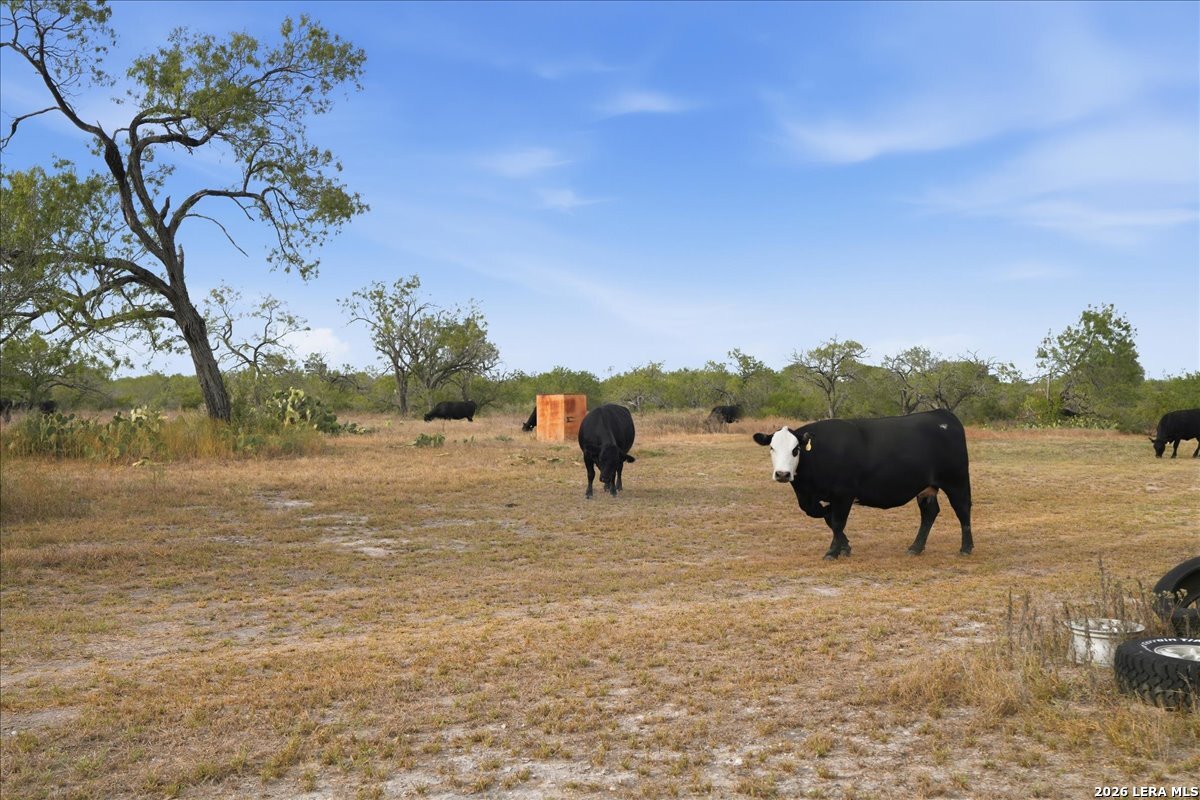 1991 S HIGHWAY 37 ACCESS, Three Rivers, TX 78071
