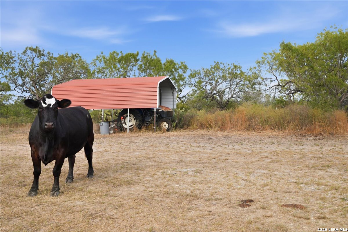 1991 S HIGHWAY 37 ACCESS, Three Rivers, TX 78071