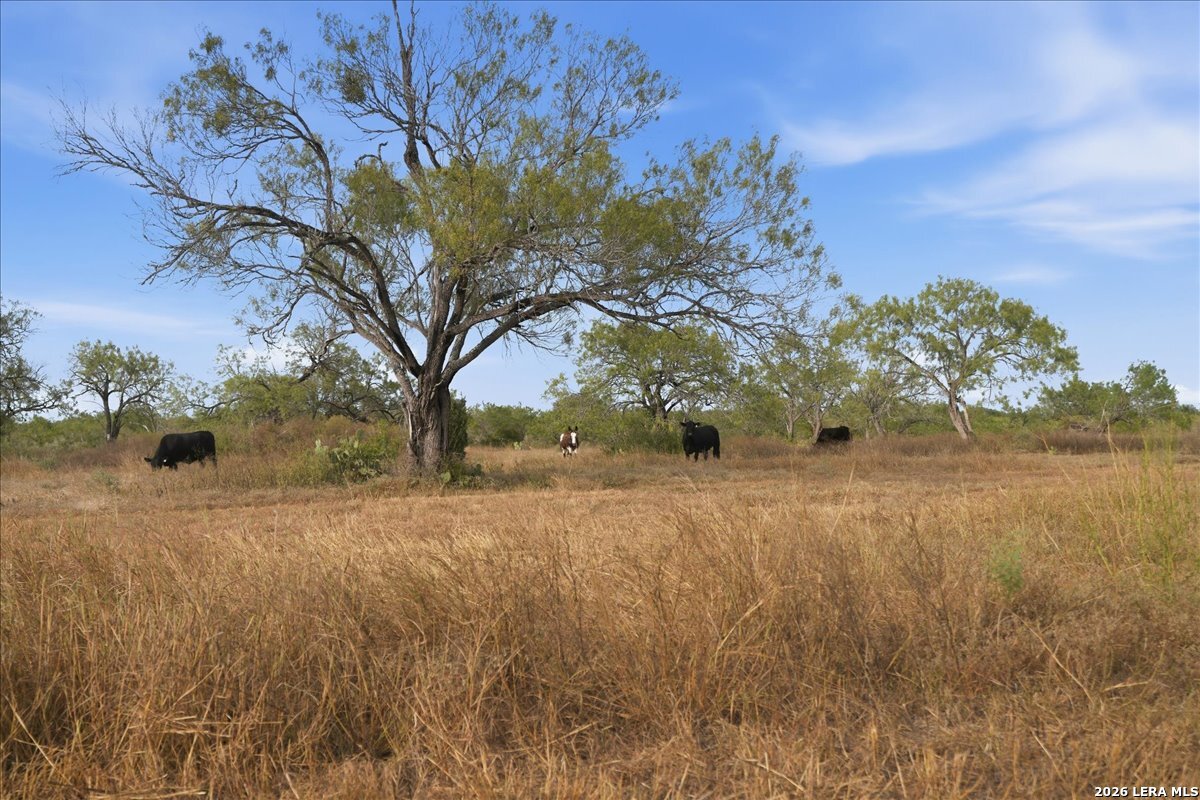 1991 S HIGHWAY 37 ACCESS, Three Rivers, TX 78071