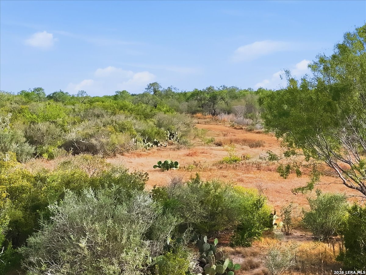 1991 S HIGHWAY 37 ACCESS, Three Rivers, TX 78071