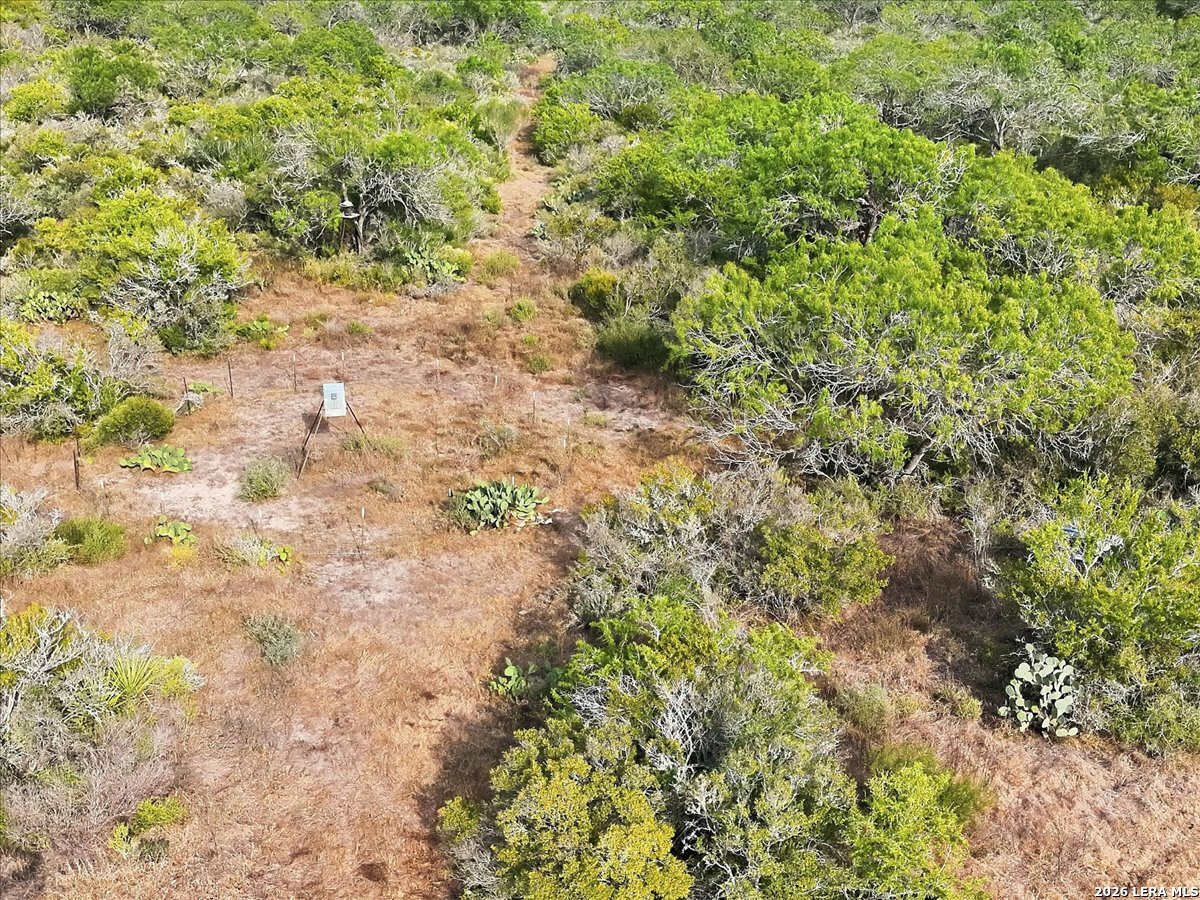 1991 S HIGHWAY 37 ACCESS, Three Rivers, TX 78071