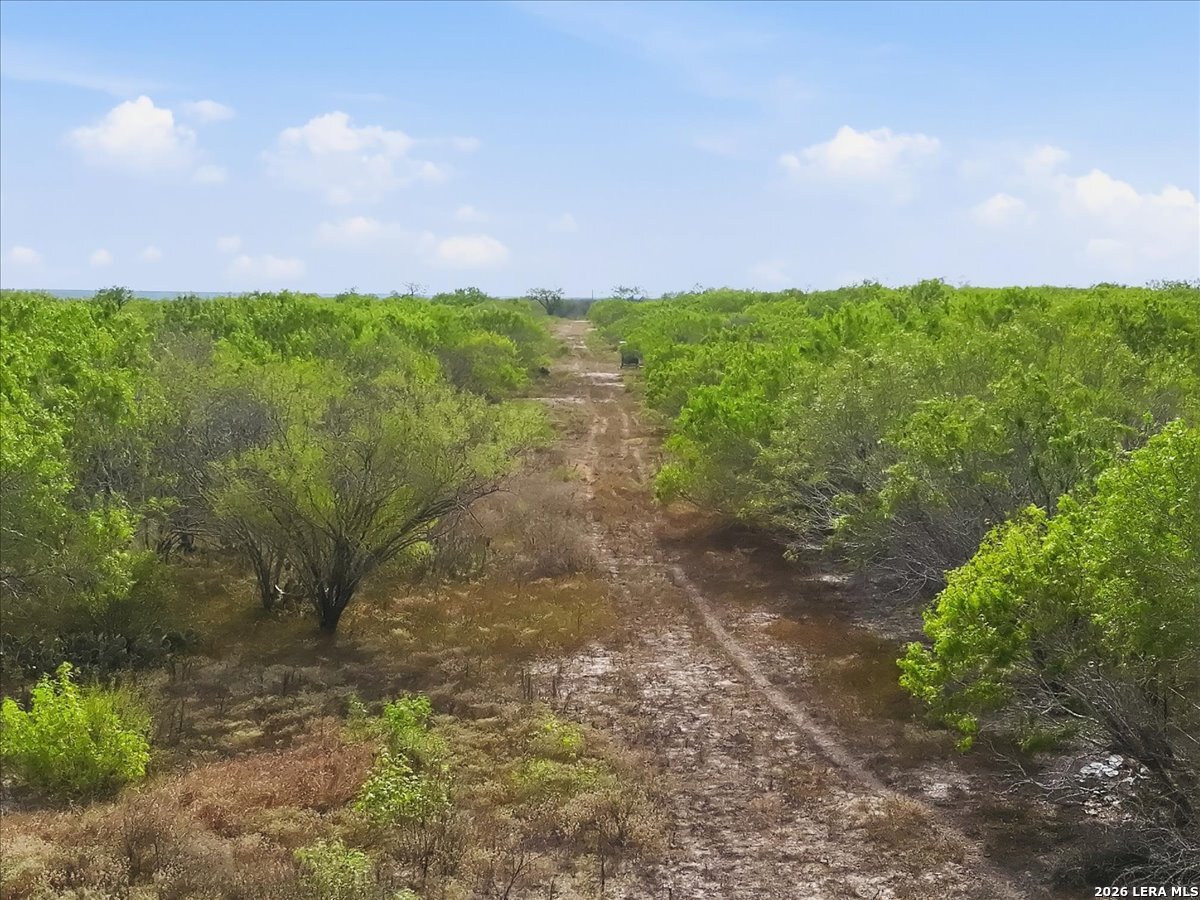 1991 S HIGHWAY 37 ACCESS, Three Rivers, TX 78071