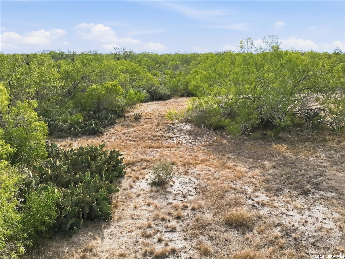 1991 S HIGHWAY 37 ACCESS, Three Rivers, TX 78071