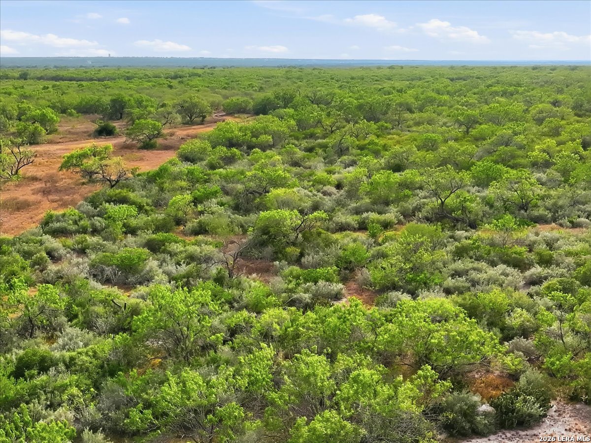 1991 S HIGHWAY 37 ACCESS, Three Rivers, TX 78071