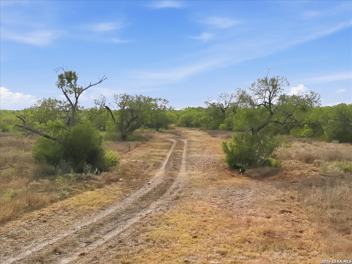 1991 S HIGHWAY 37 ACCESS, Three Rivers, TX 78071
