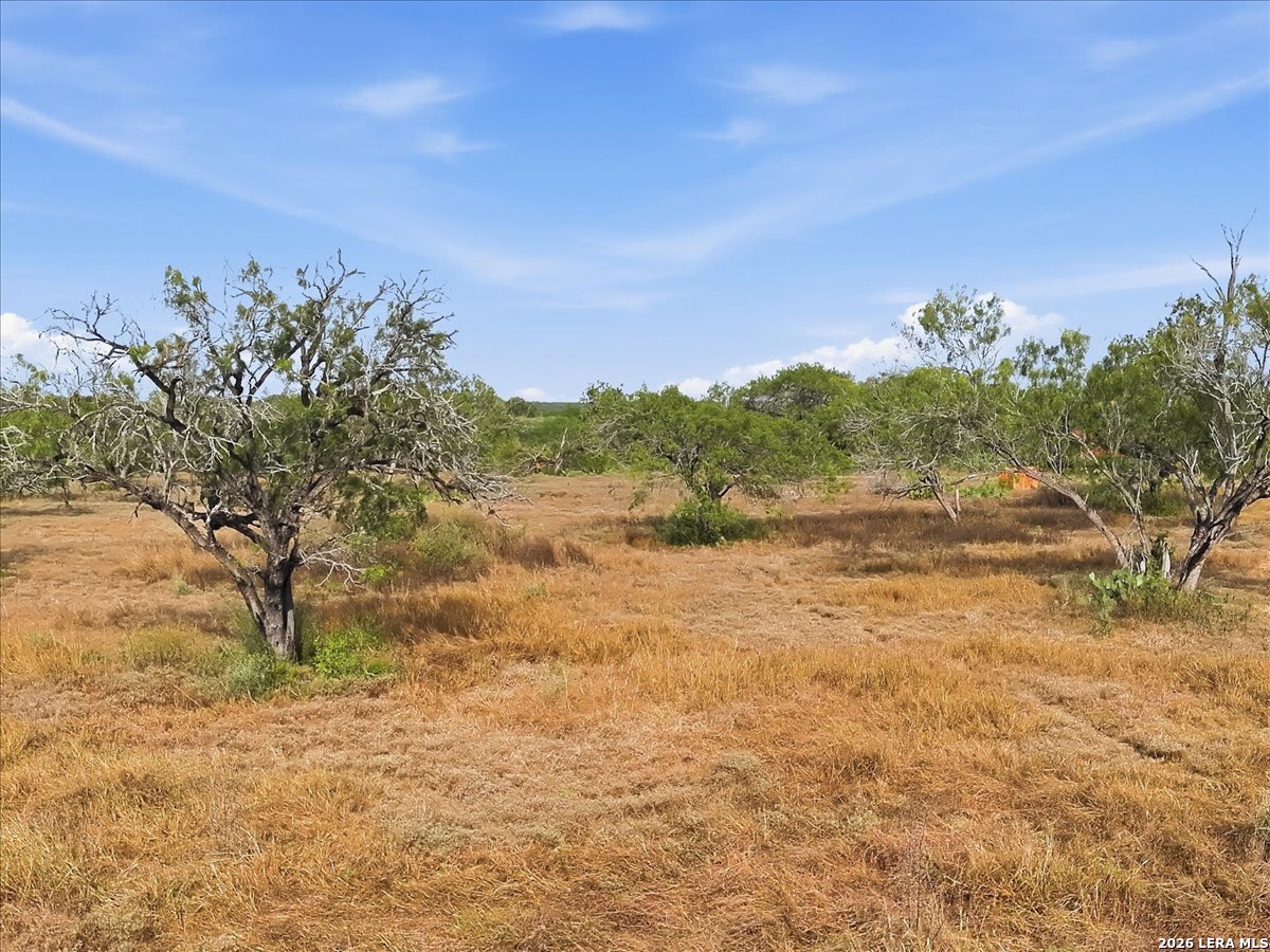 1991 S HIGHWAY 37 ACCESS, Three Rivers, TX 78071