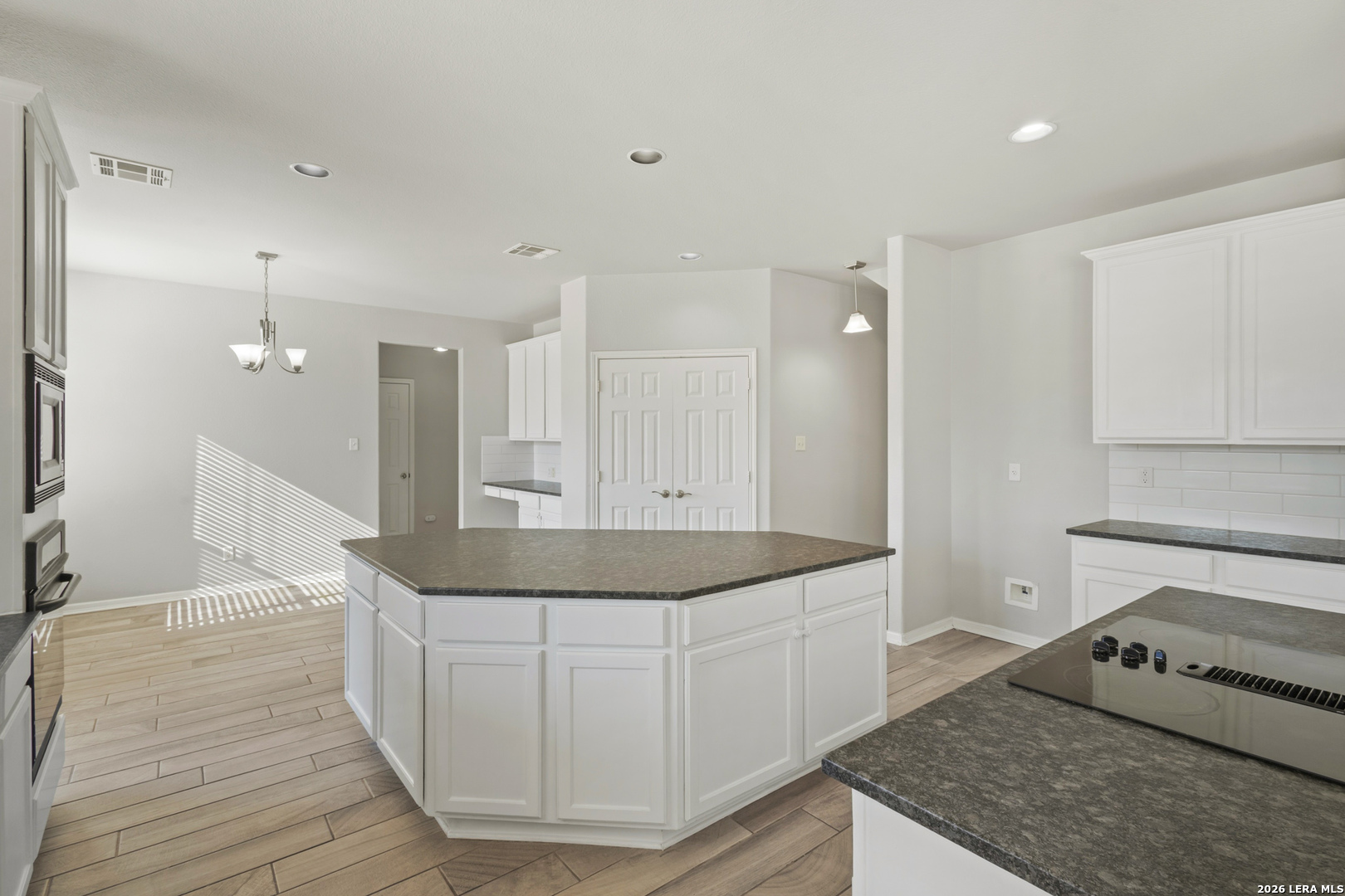 26022 TORENA LOOP, San Antonio, TX 78261
