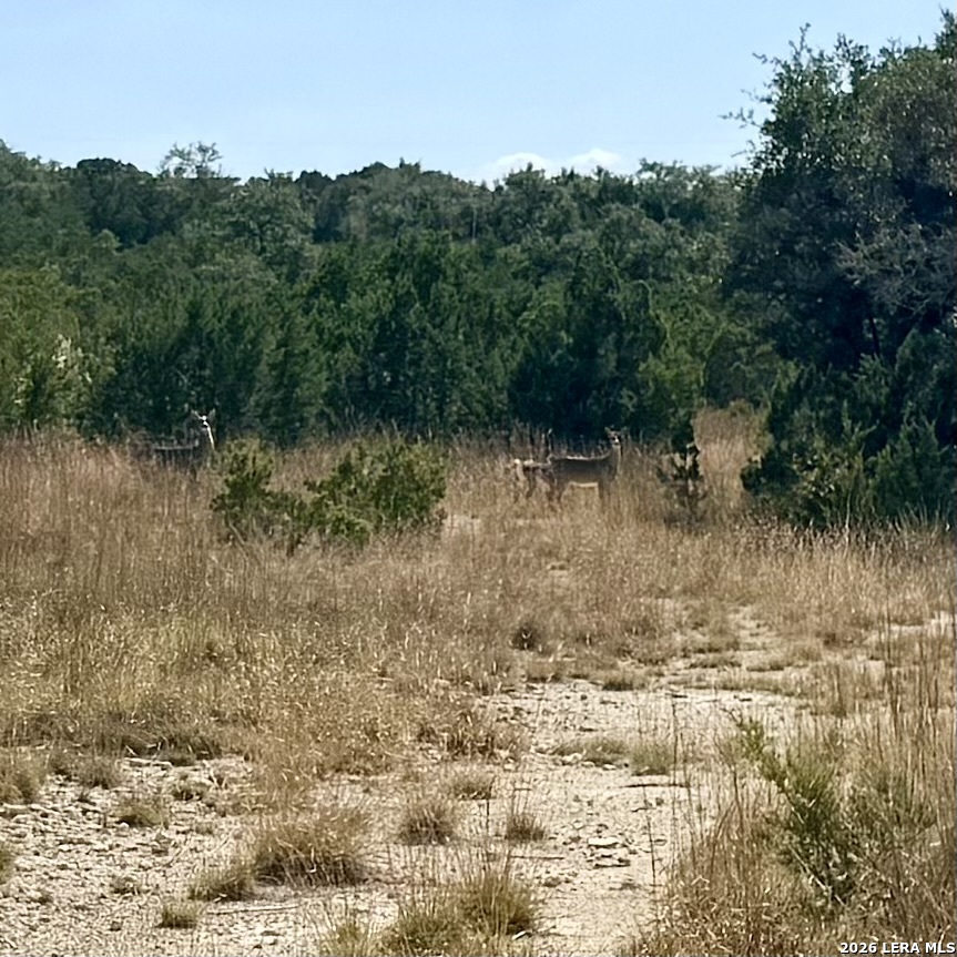 1982 Kimberly, Pipe Creek, TX 78063
