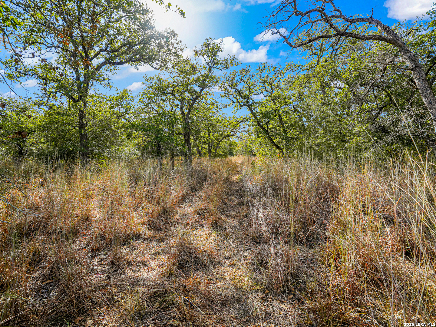 12170 Fm 1117, Seguin, TX 78155