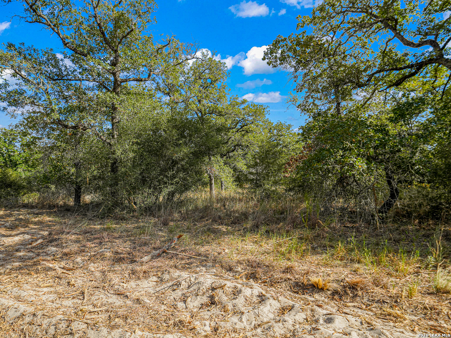 12170 Fm 1117, Seguin, TX 78155