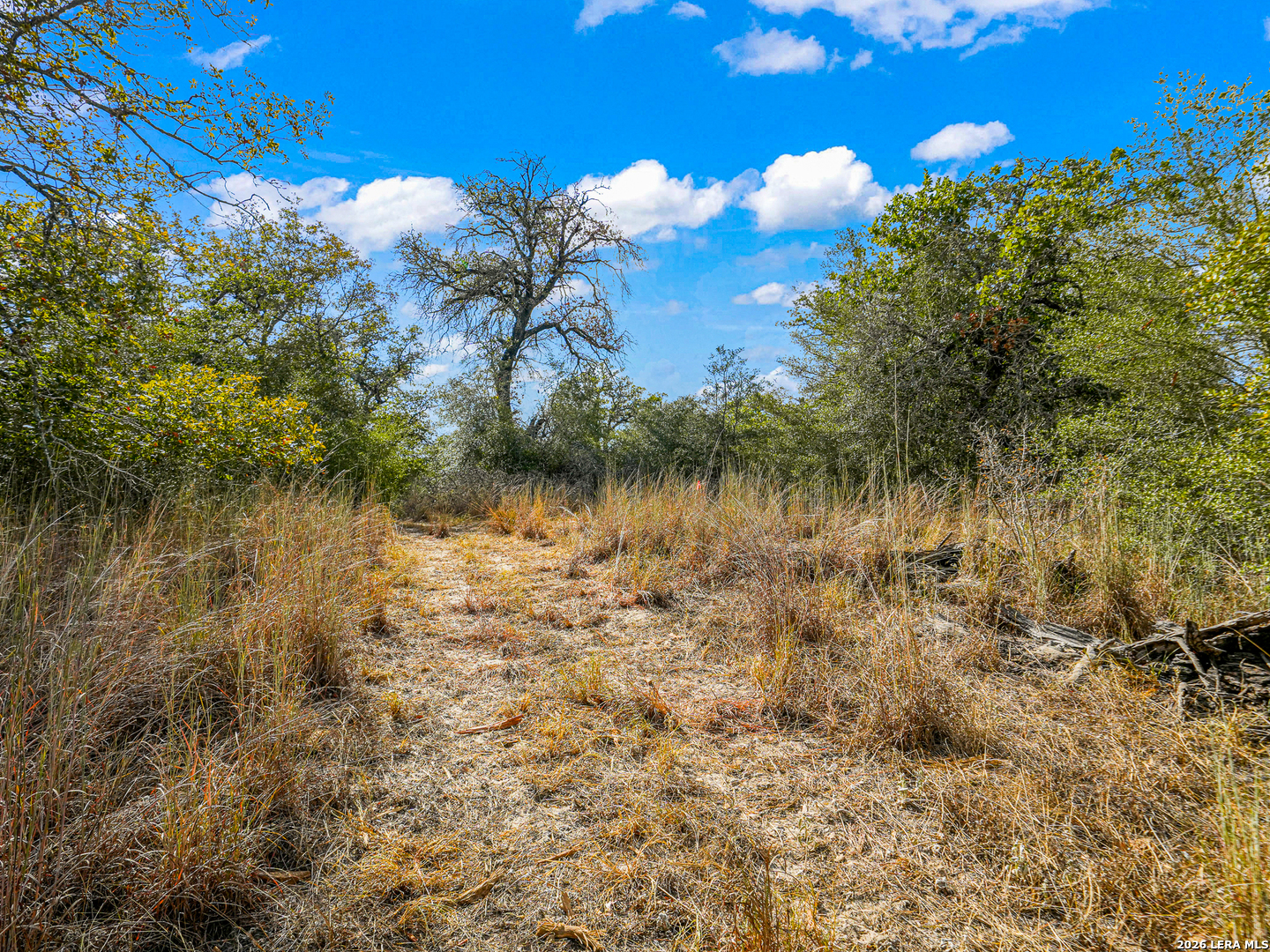 12170 Fm 1117, Seguin, TX 78155