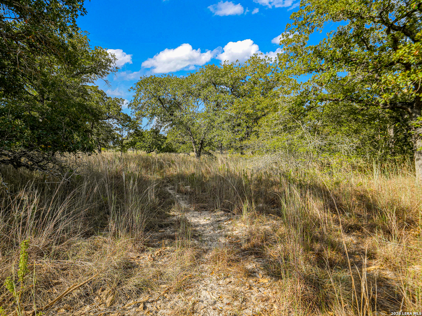 12170 Fm 1117, Seguin, TX 78155