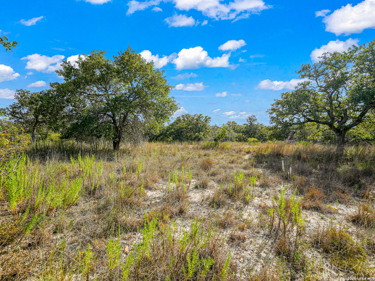 12170 Fm 1117, Seguin, TX 78155