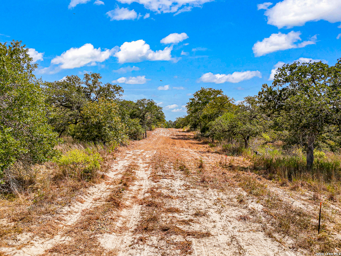 12170 Fm 1117, Seguin, TX 78155