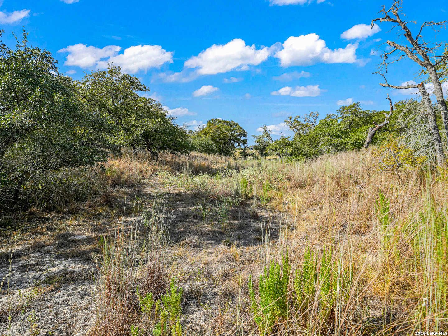 12170 Fm 1117, Seguin, TX 78155