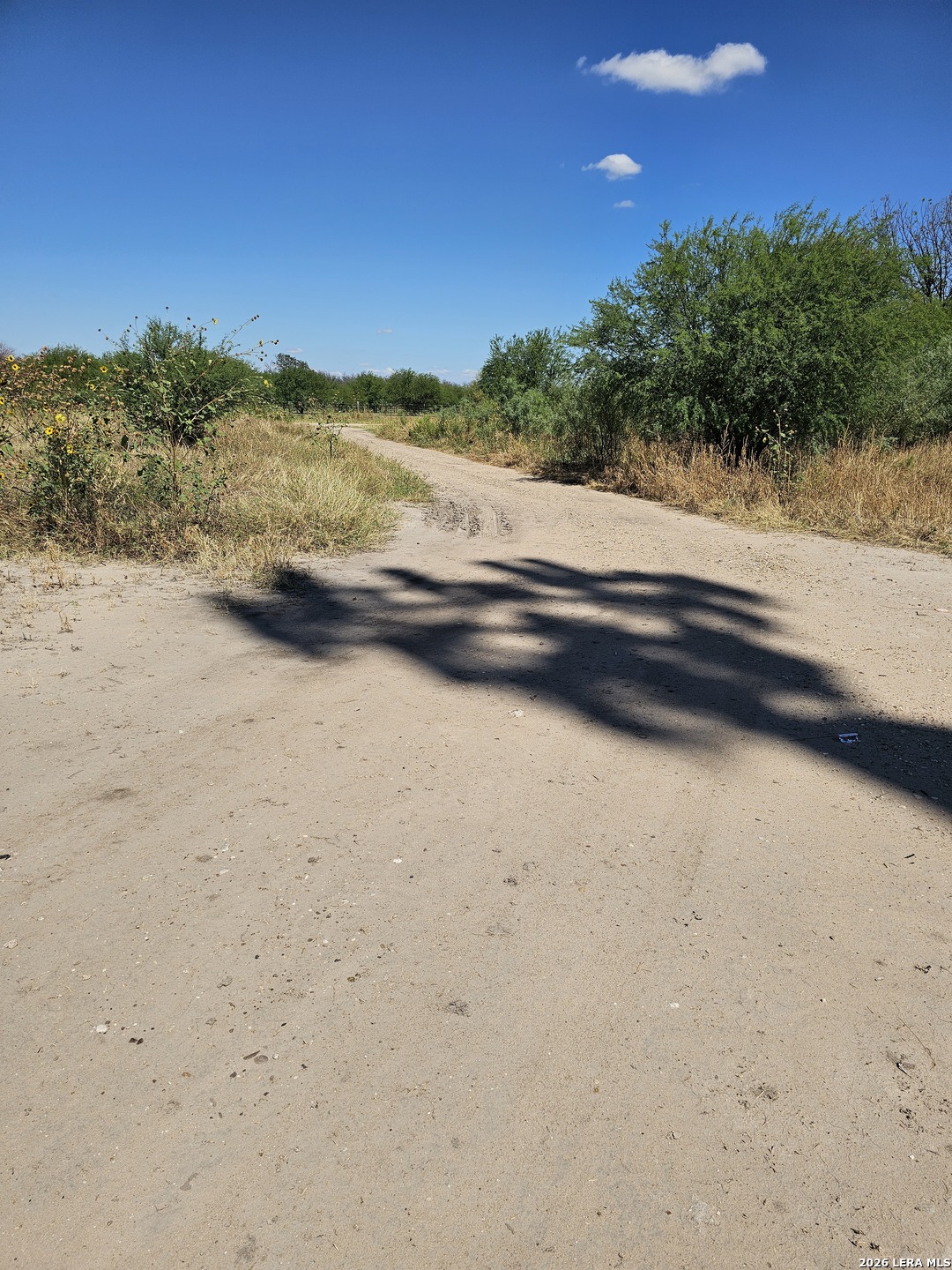 508 E. AMISTAD AVE, Quemado, TX 78877