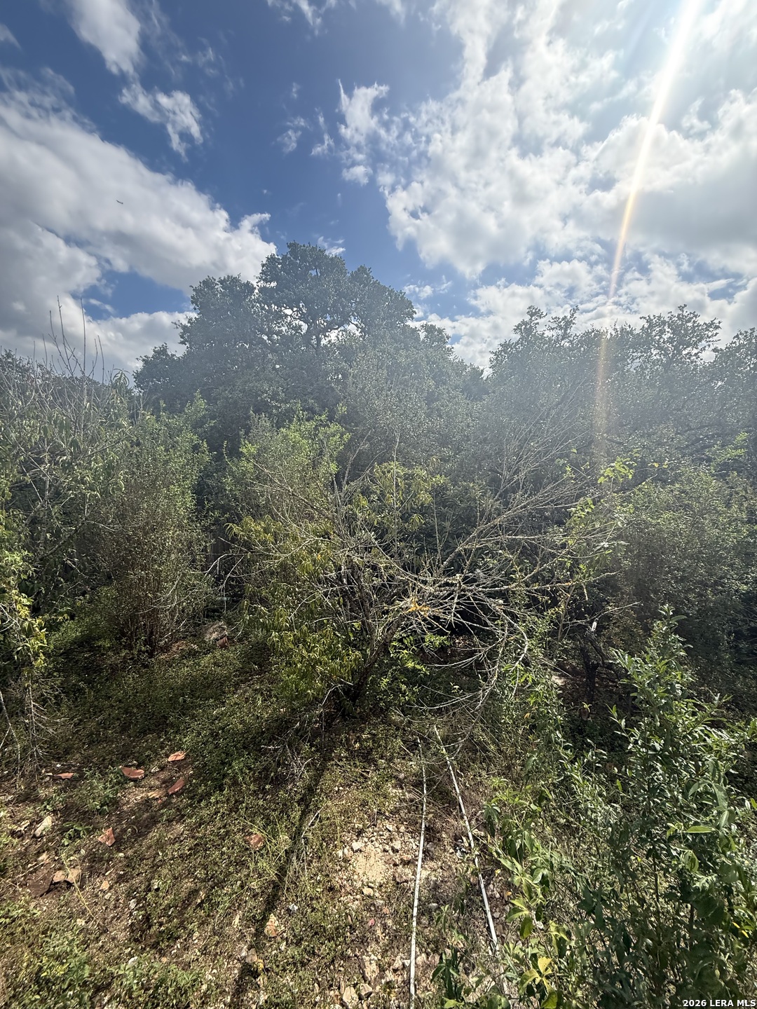 19942 PARK HOLW, San Antonio, TX 78259