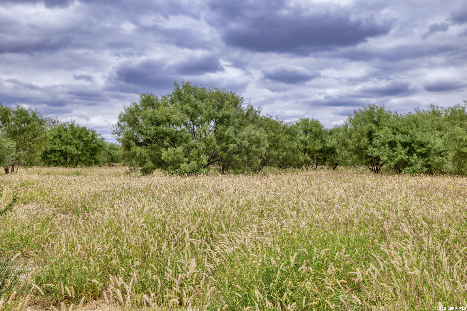 2421 FM 582, Crystal City, TX 78839