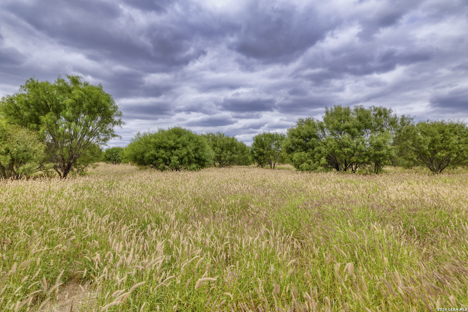 2421 FM 582, Crystal City, TX 78839