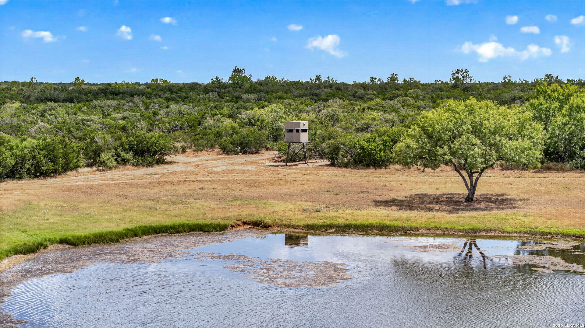 510 County Road 336, Charlotte, TX 78011