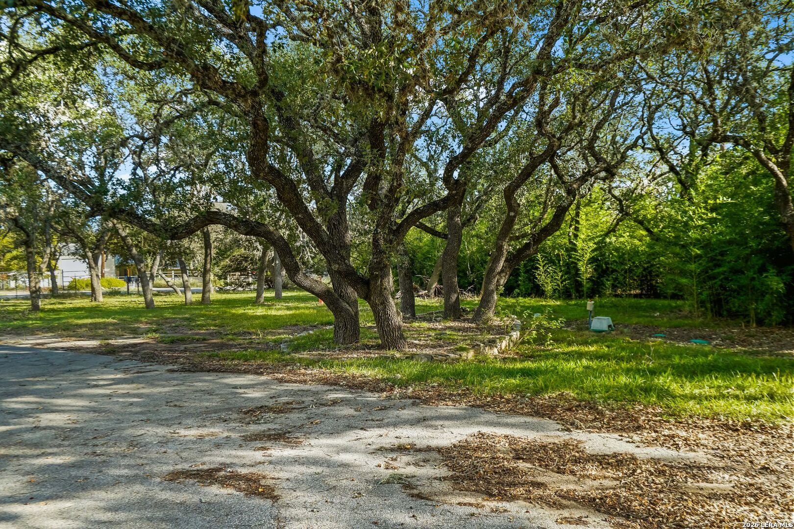 31617 Blanco, Bulverde, TX 78163