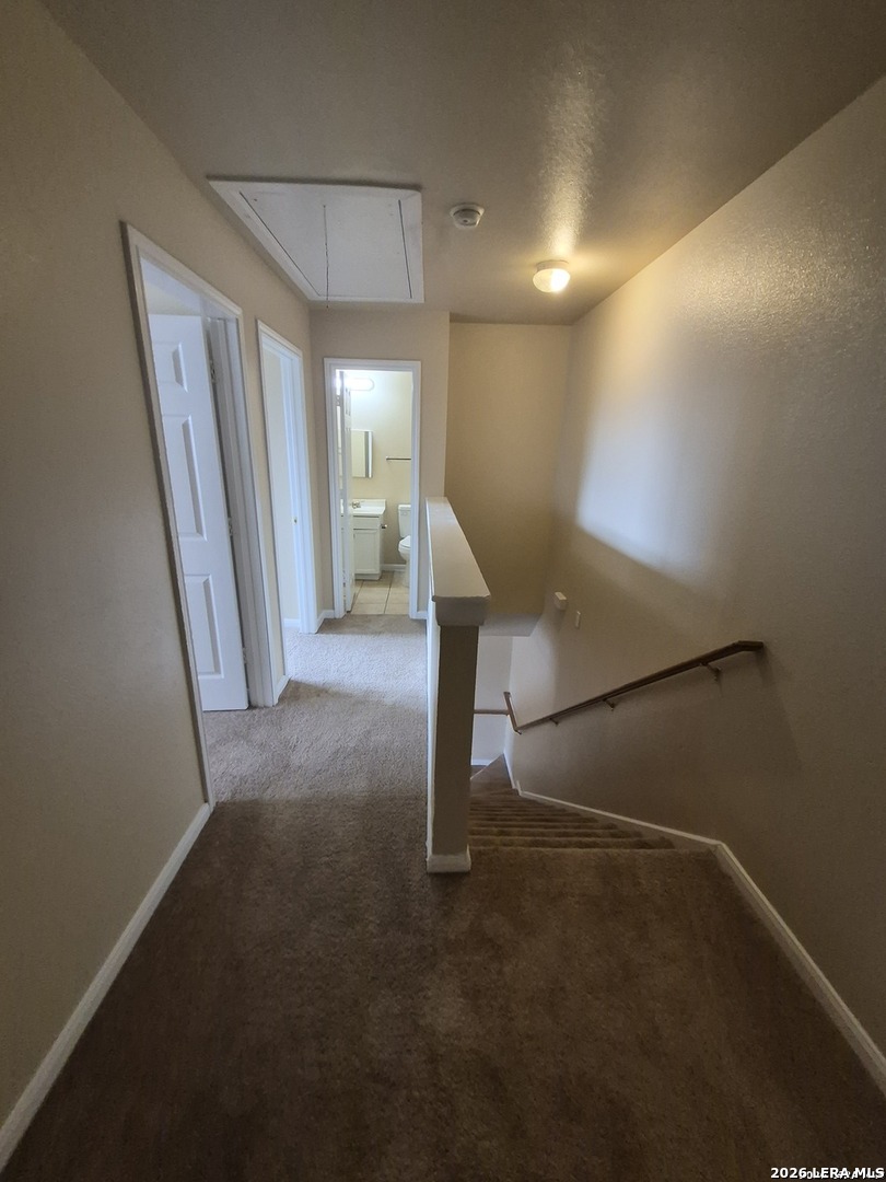 13040 O'Connor Cove, San Antonio, TX 78233