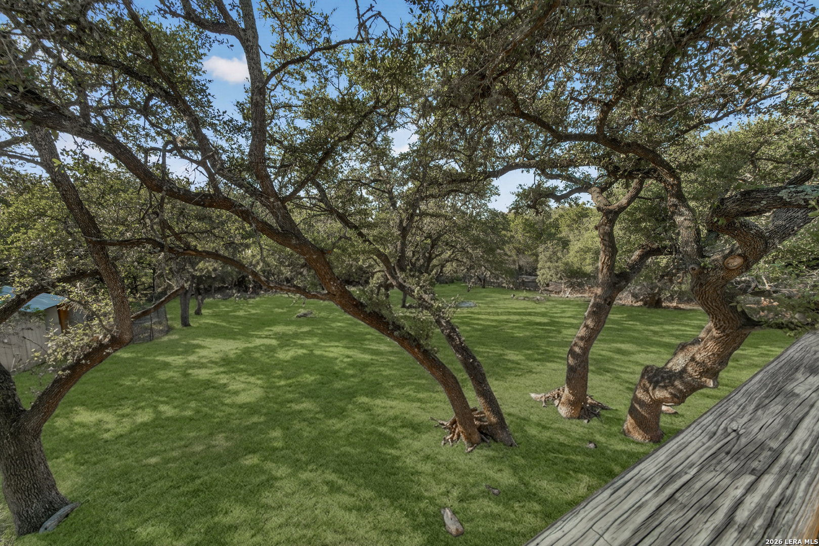 Yard/Garden