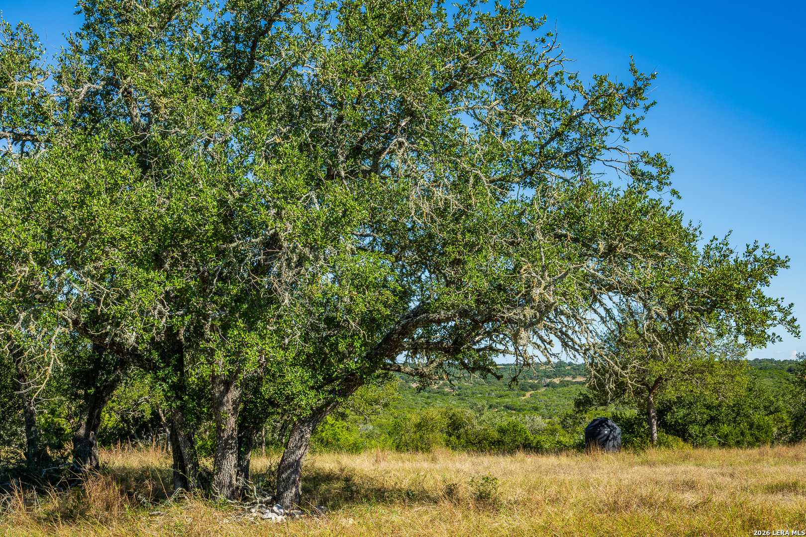 913 GREENWOOD VALLEY RANCH RD, Rocksprings, TX 78880