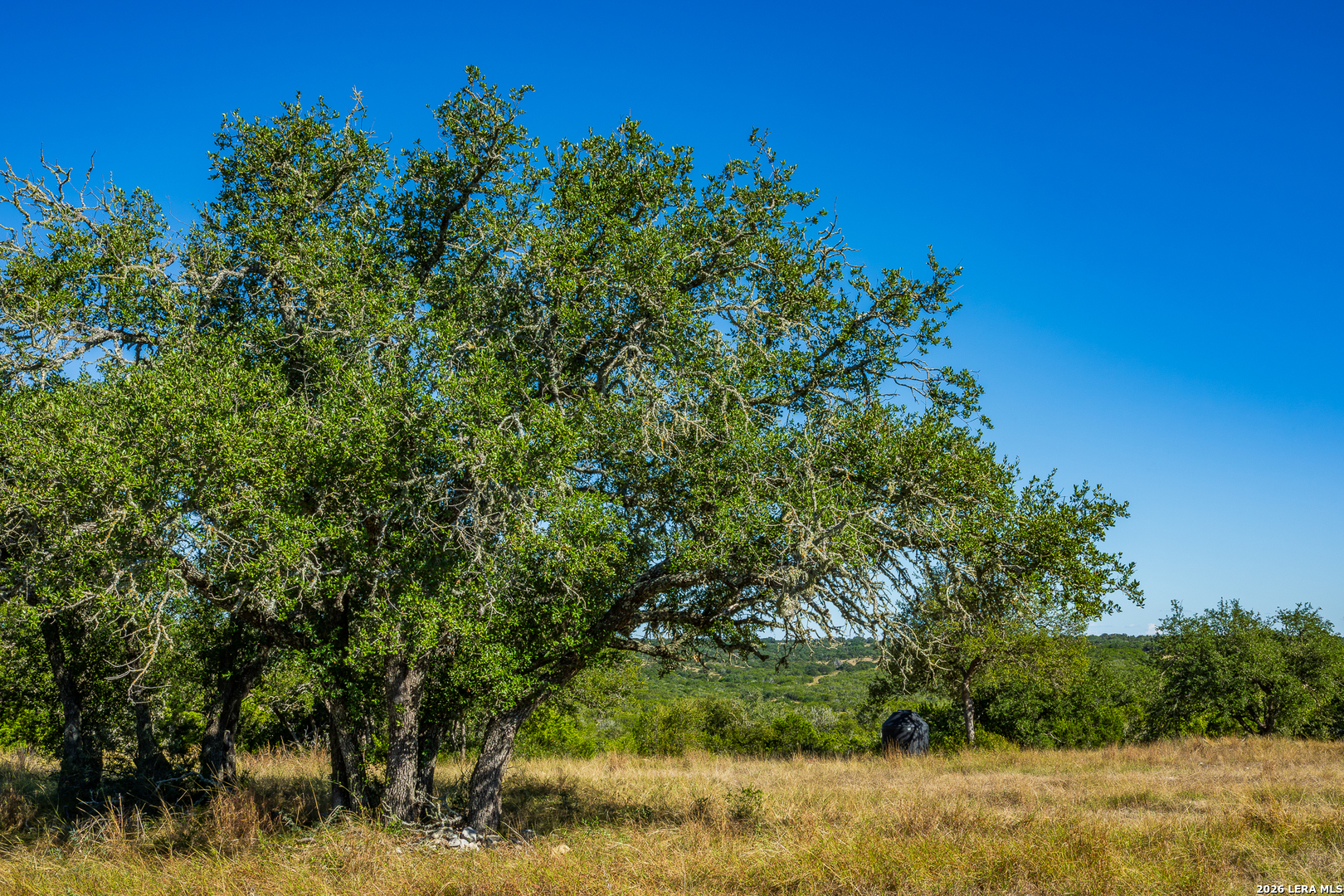 913 GREENWOOD VALLEY RANCH RD, Rocksprings, TX 78880