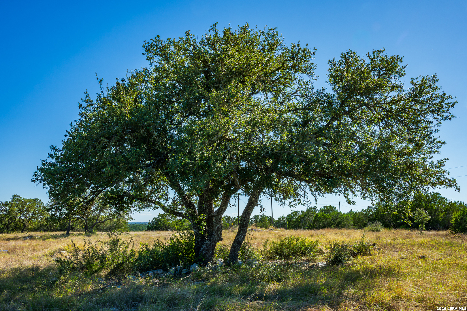913 GREENWOOD VALLEY RANCH RD, Rocksprings, TX 78880